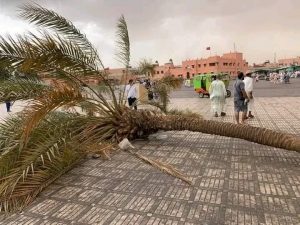 رياح